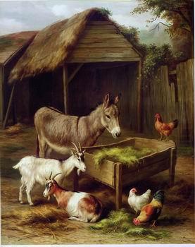 Cocks and Sheep 129, unknow artist